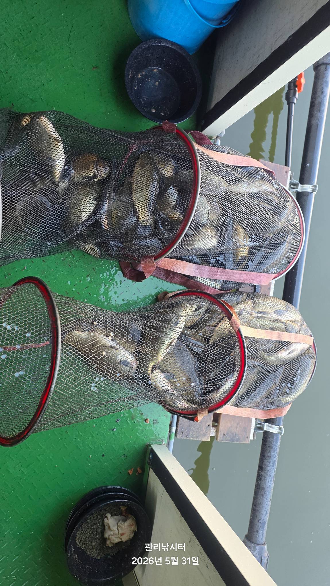 1780194670888.jpg