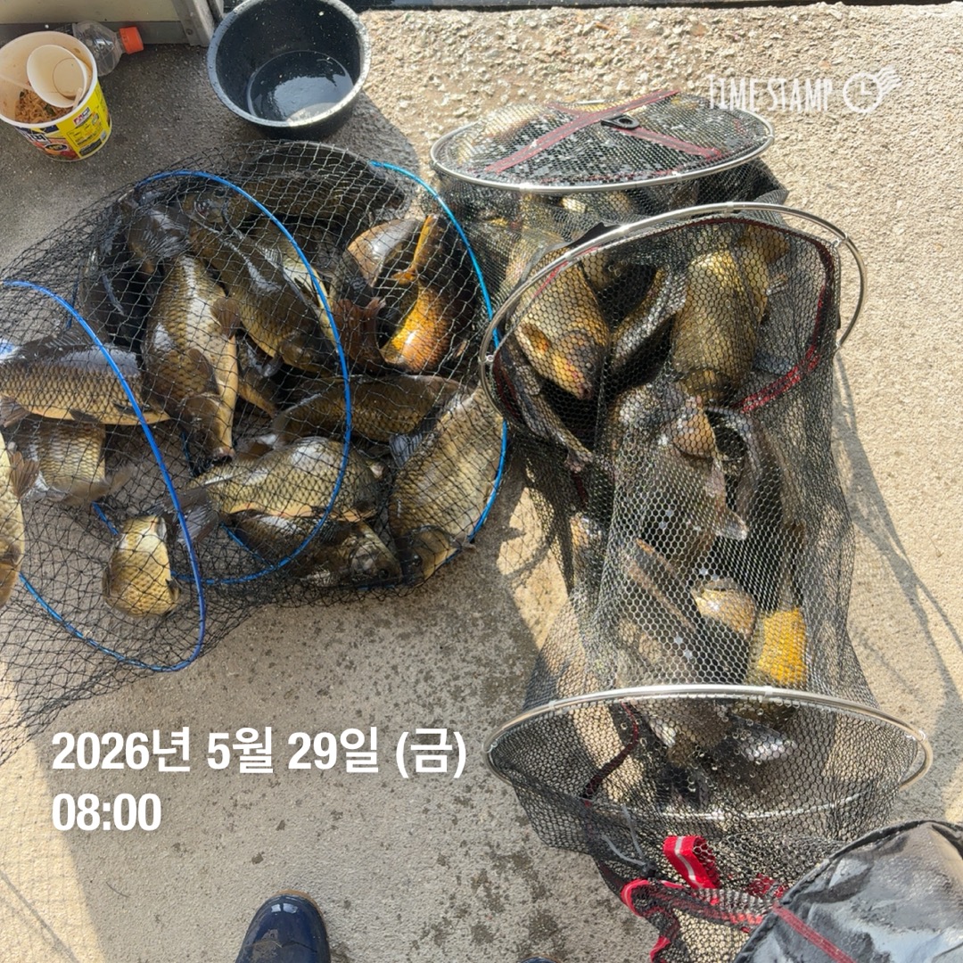 KakaoTalk_20260602_084844064_27.jpg