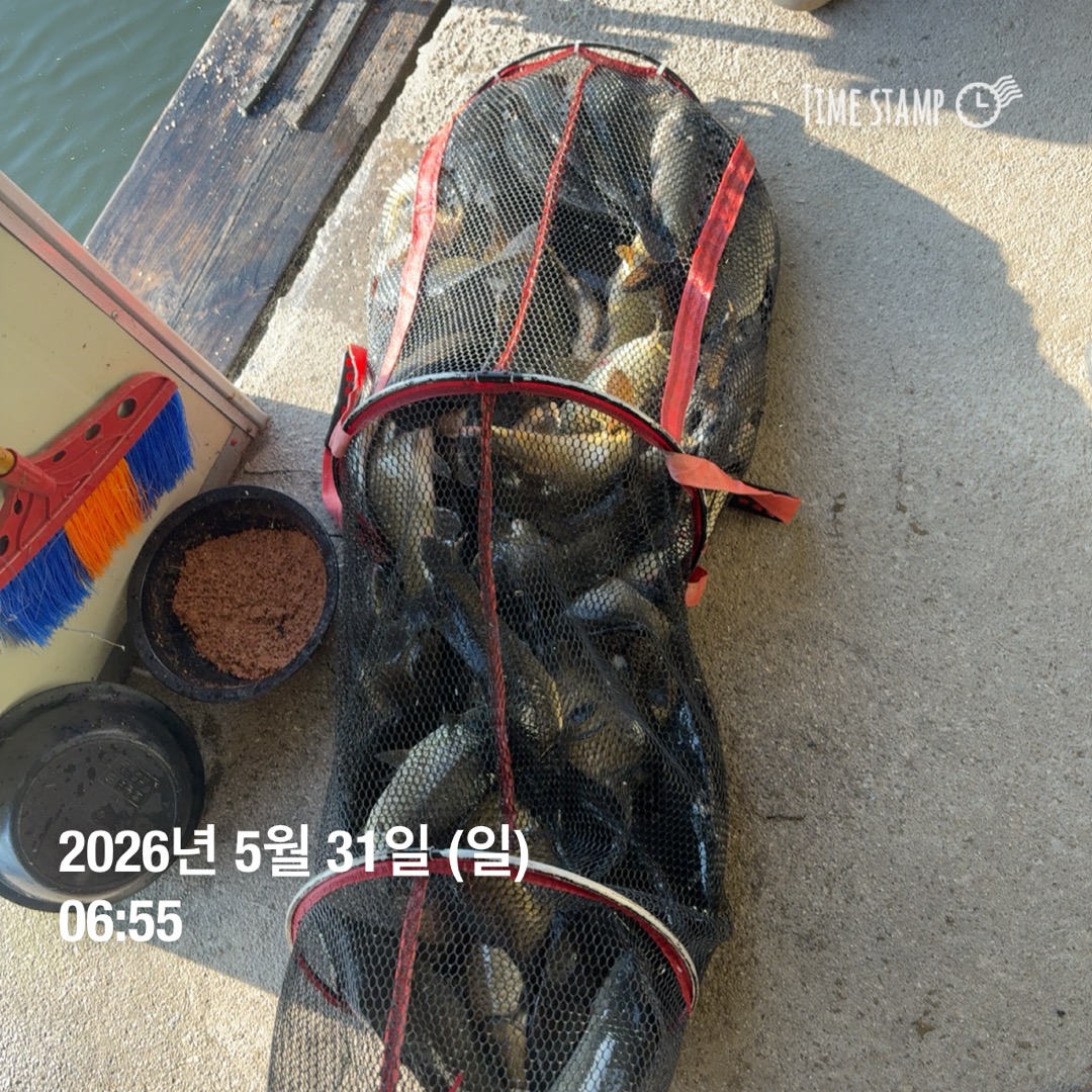 KakaoTalk_20260602_084844064_18.jpg