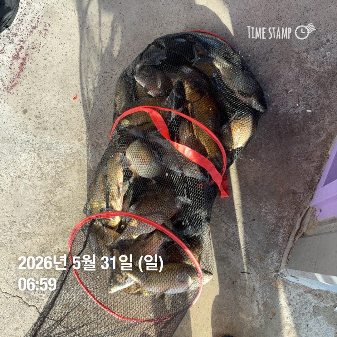 KakaoTalk_20260602_084844064_17.jpg