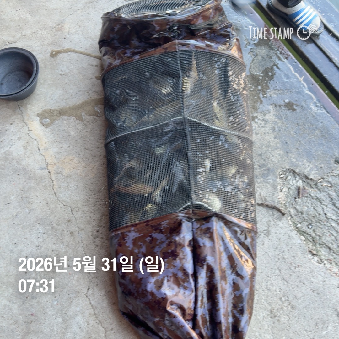 KakaoTalk_20260602_084844064_14.jpg