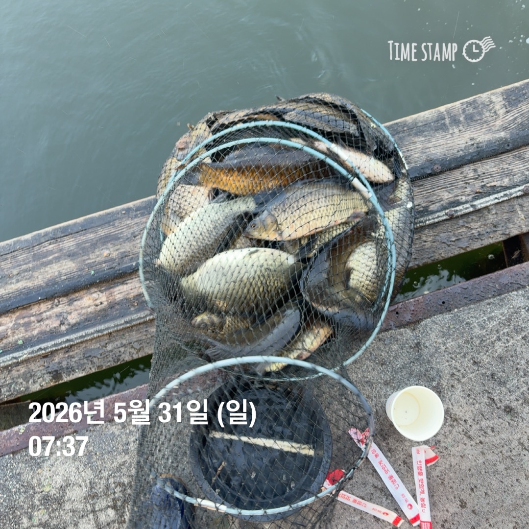 KakaoTalk_20260602_084844064_12.jpg
