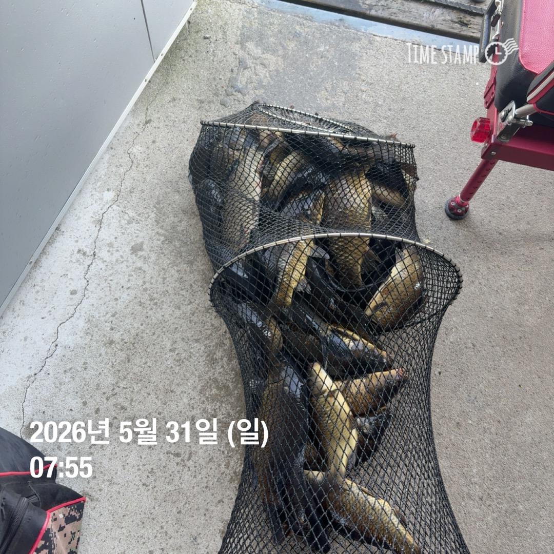 KakaoTalk_20260602_084844064_10.jpg