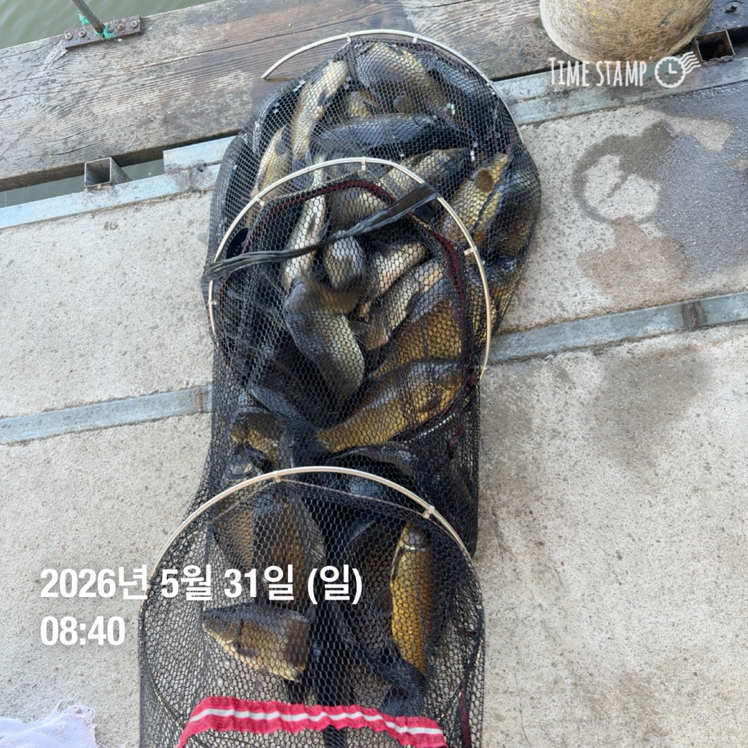 KakaoTalk_20260602_084844064_09.jpg