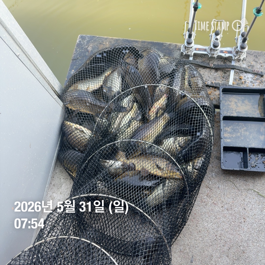 KakaoTalk_20260602_084844064_11.jpg