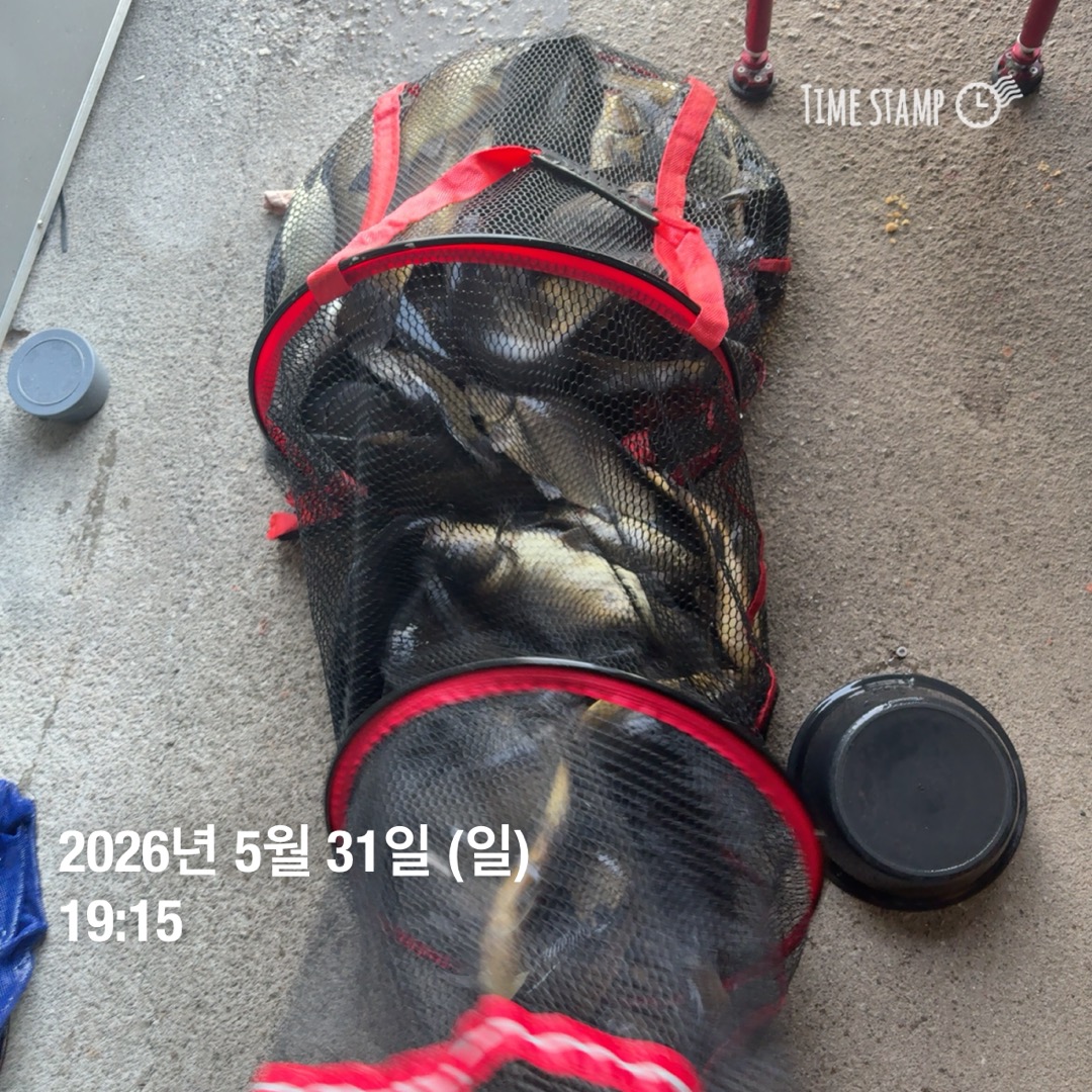 KakaoTalk_20260602_084844064_07.jpg