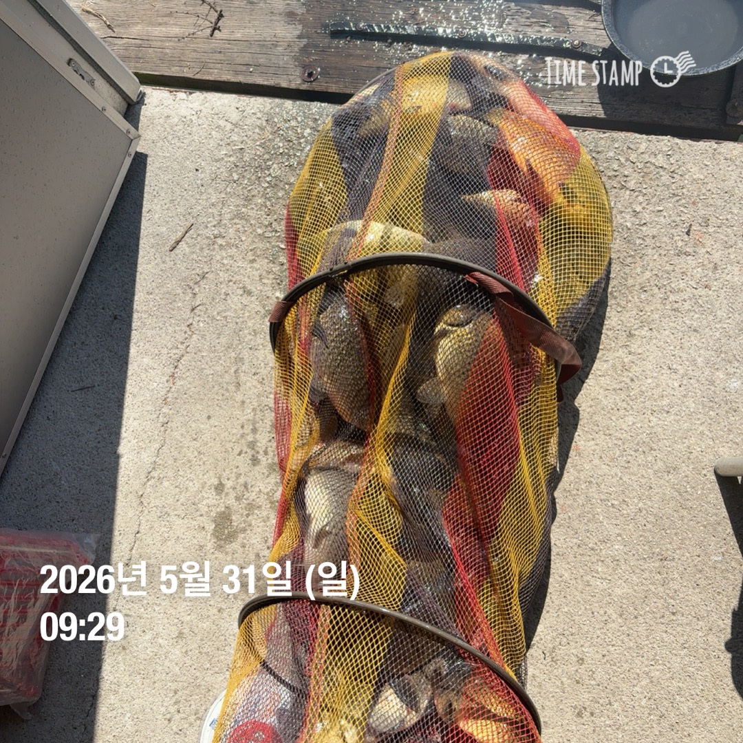 KakaoTalk_20260602_084844064_08.jpg