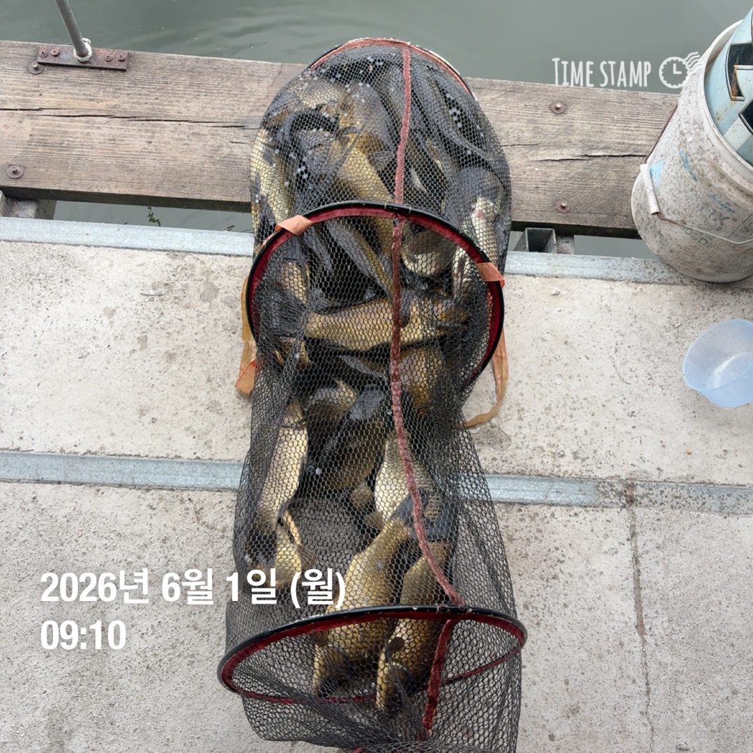 KakaoTalk_20260602_084844064_04.jpg