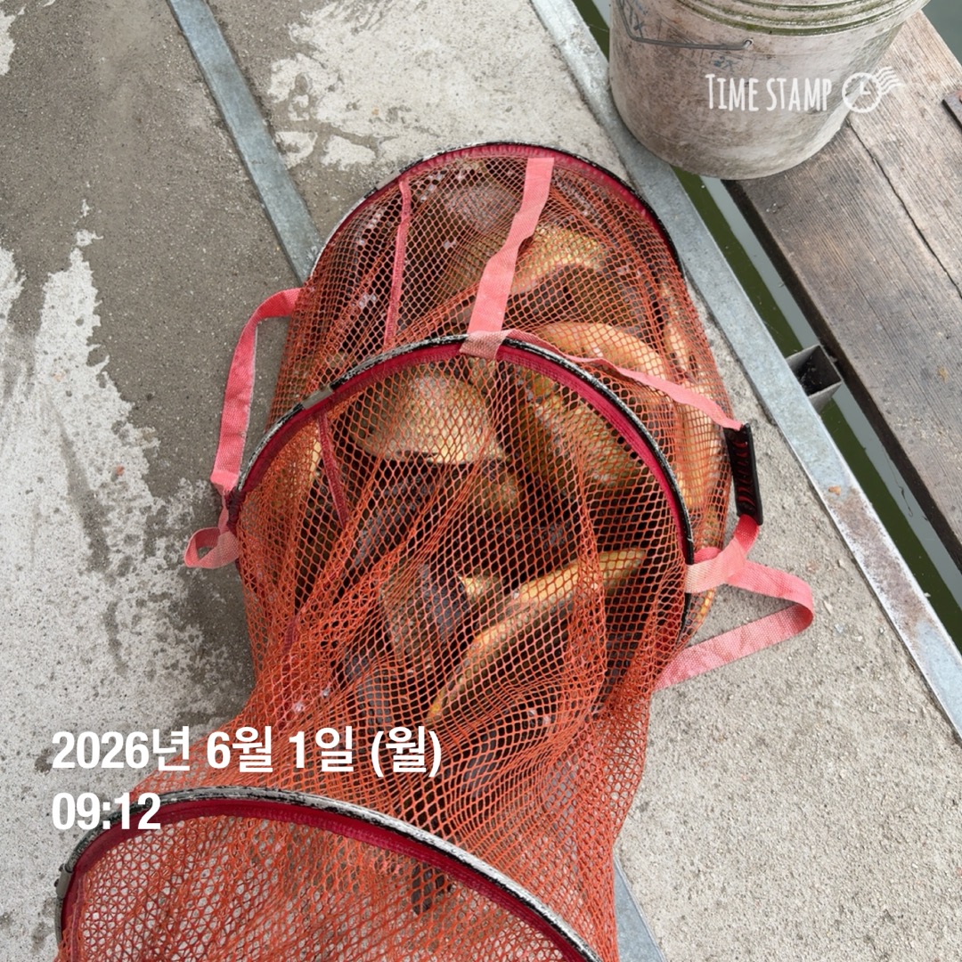 KakaoTalk_20260602_084844064_03.jpg