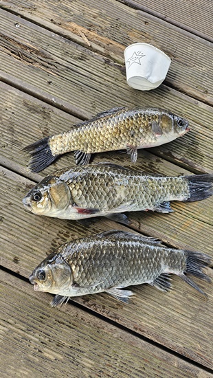 KakaoTalk_20260601_163124025_04.jpg
