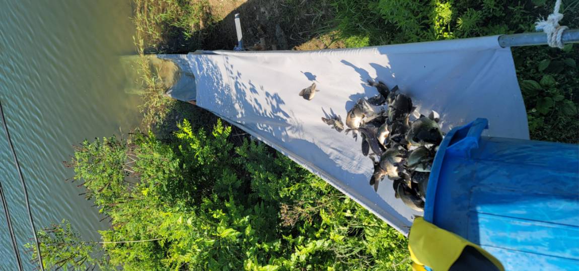 9 (1).jpg
