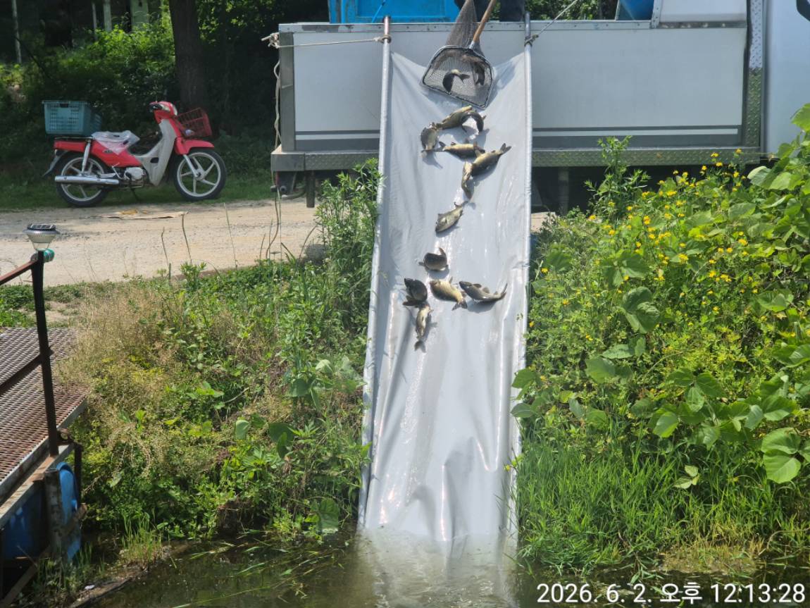 KakaoTalk_20260602_135422348.jpg
