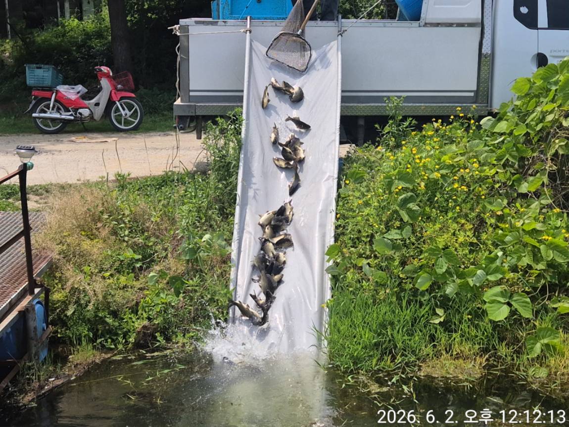 KakaoTalk_20260602_135422348_13.jpg