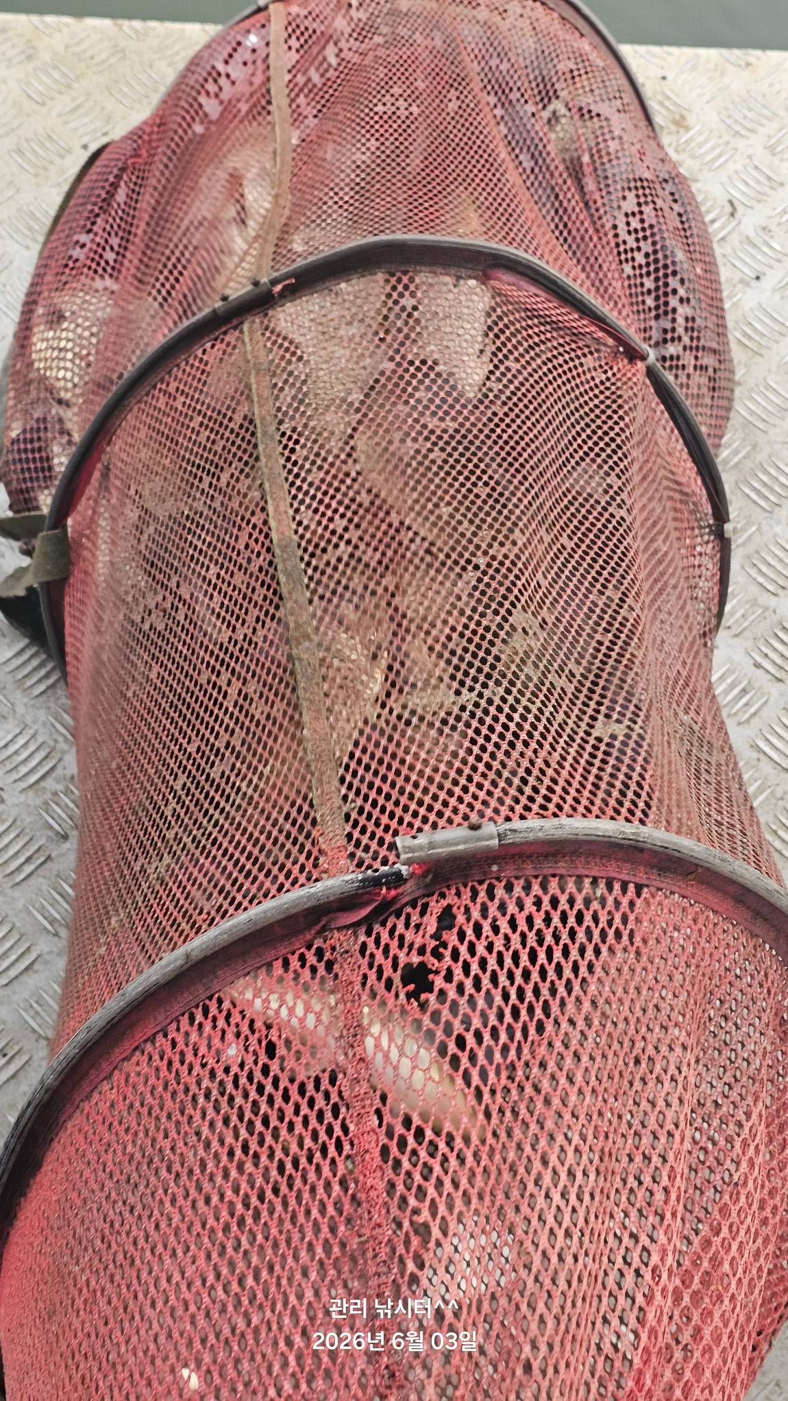 20260603_182945.jpg