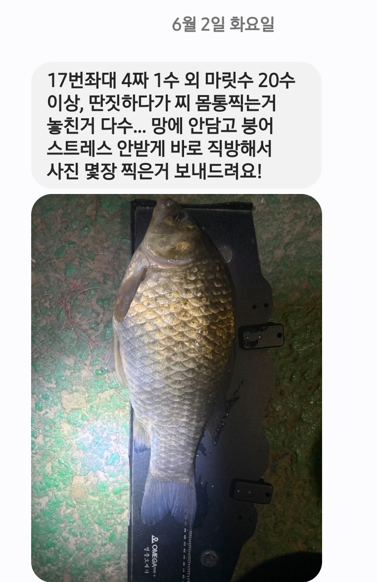 Screenshot_20260602_084555_Messages.jpg