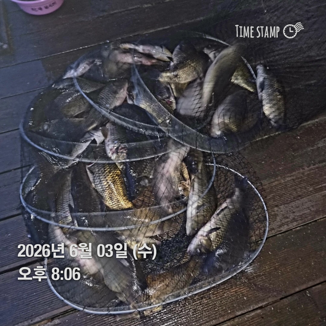 1780530995449.jpg