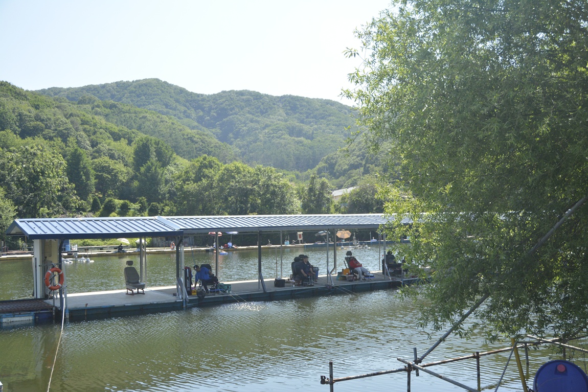 _7104256.JPG