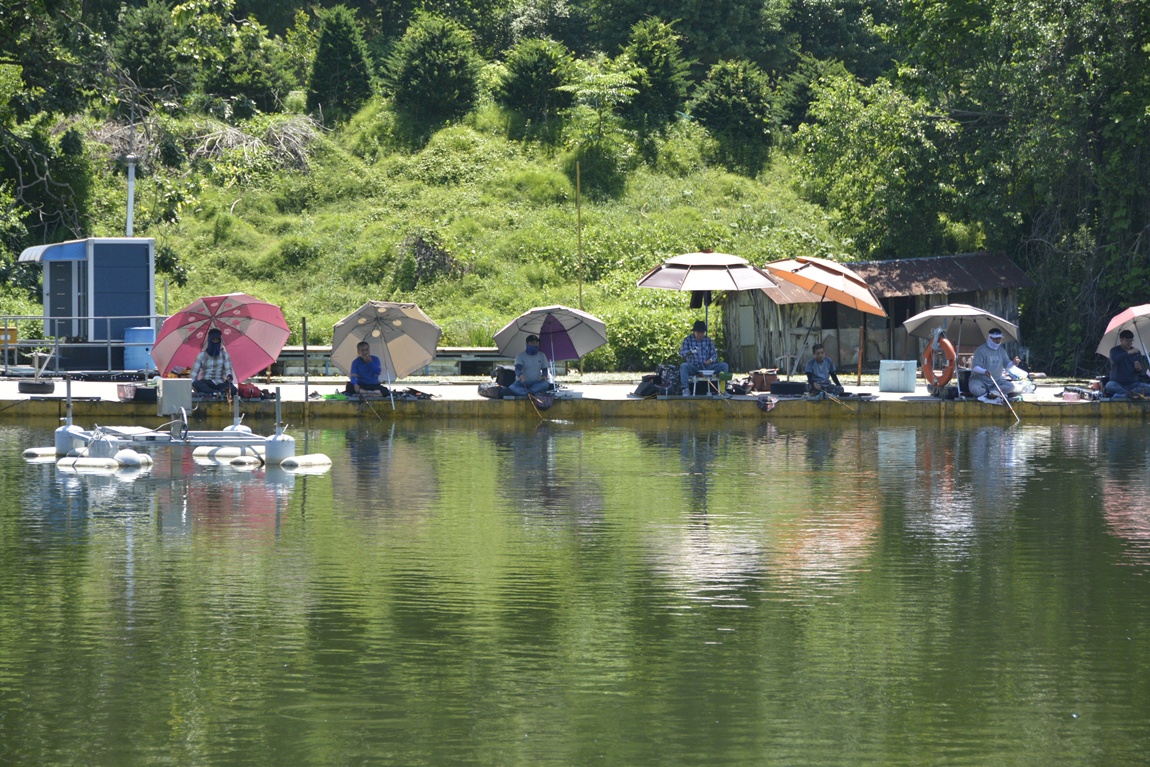 _7104281.JPG