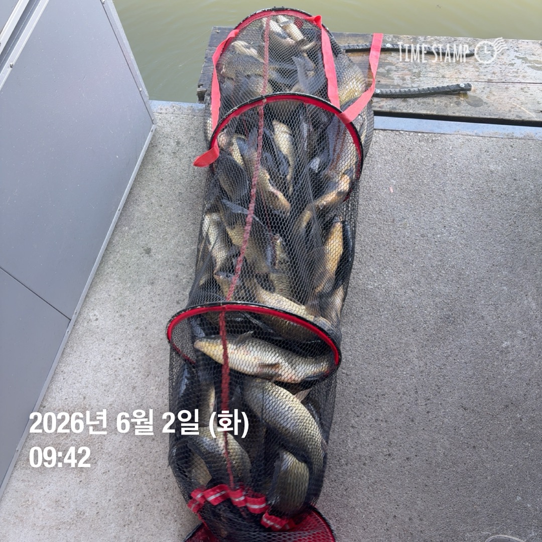 KakaoTalk_20260604_095254812_08.jpg