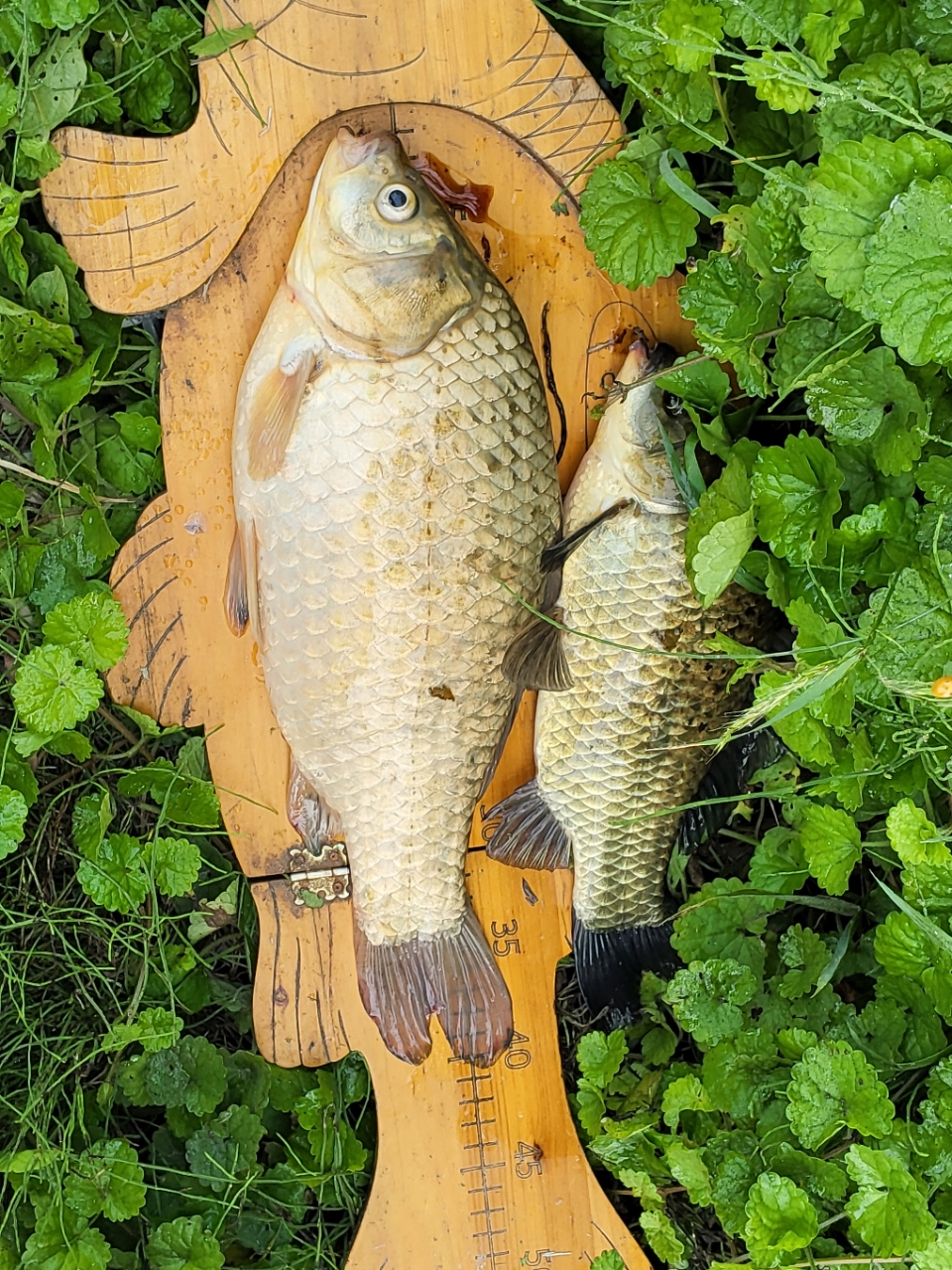 �⸮������_����_20260602_6.jpg