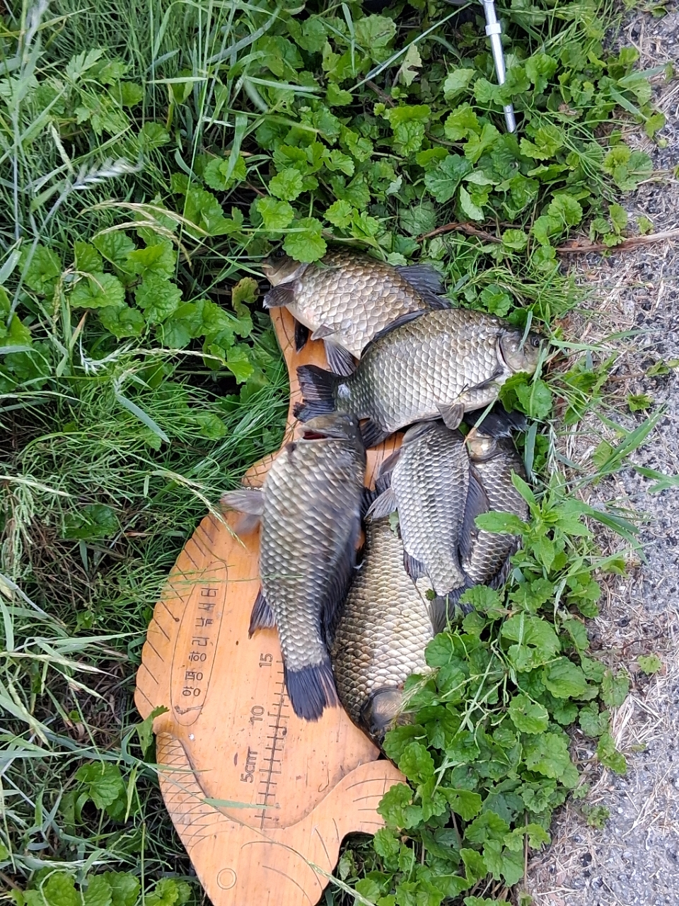 �⸮������_����_20260531_17.jpg