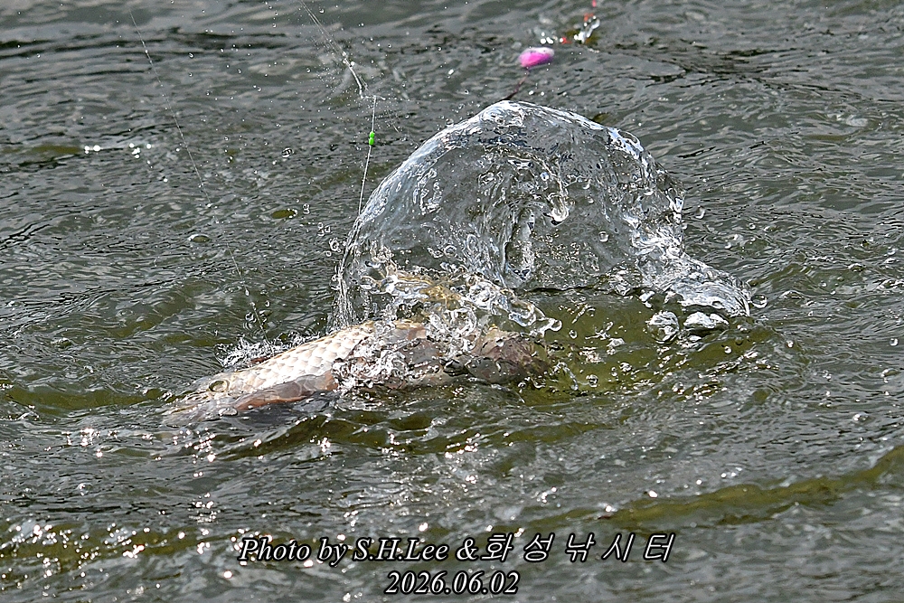 DSC_1169.JPG