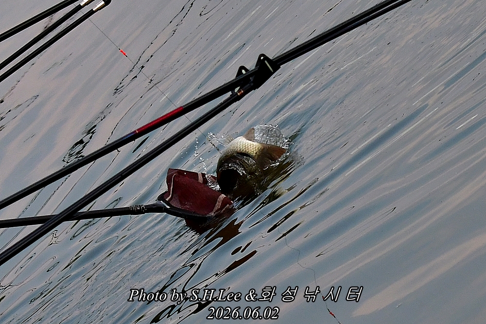 DSC_1206.JPG