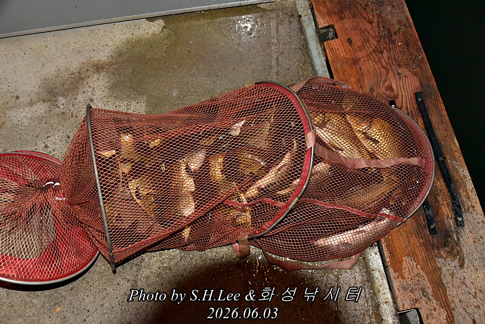 LEE_4837.JPG