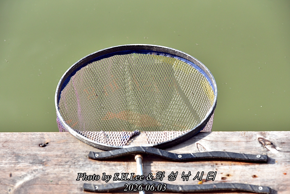 LEE_4847.JPG