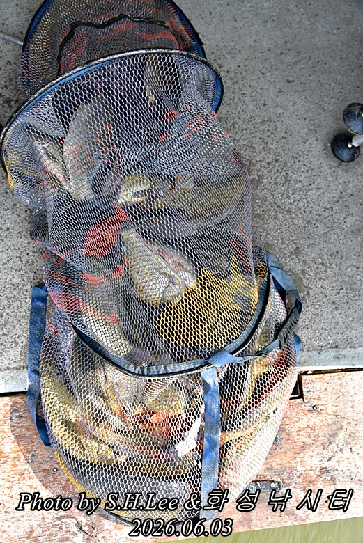 LEE_4849.JPG