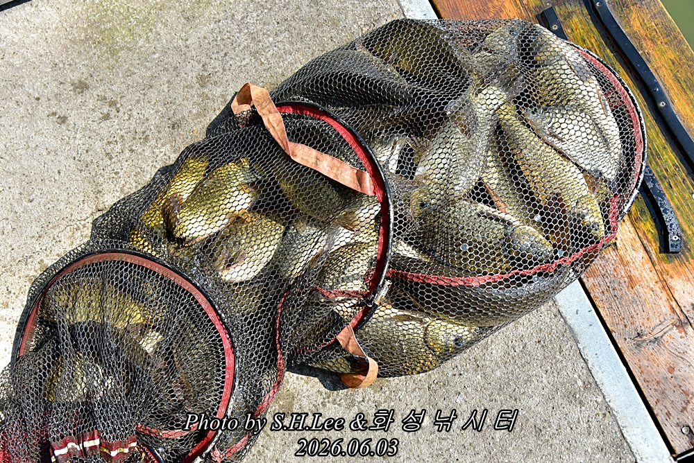 LEE_4864.JPG