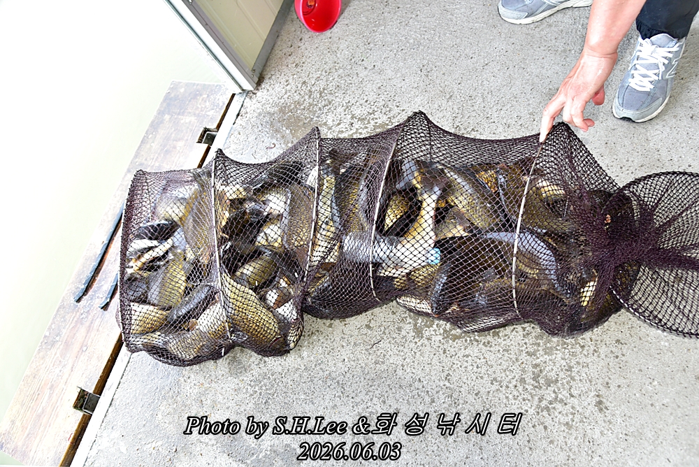 LEE_4897.JPG