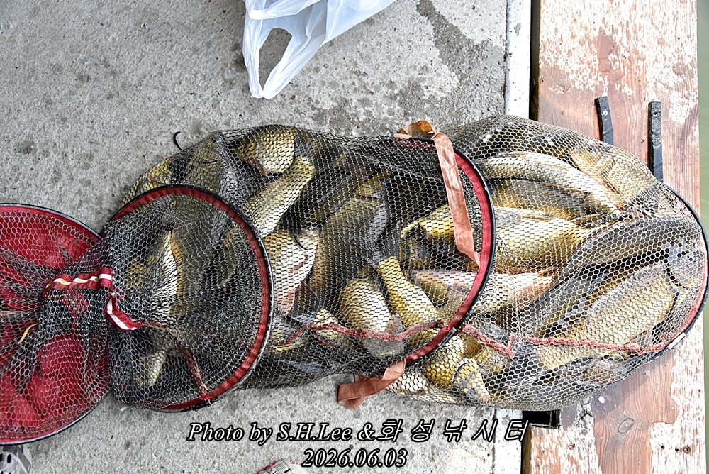 LEE_4931.JPG