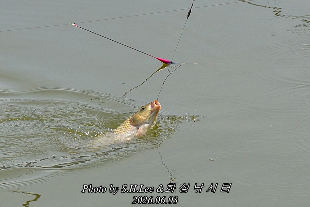 LEE_4950.JPG