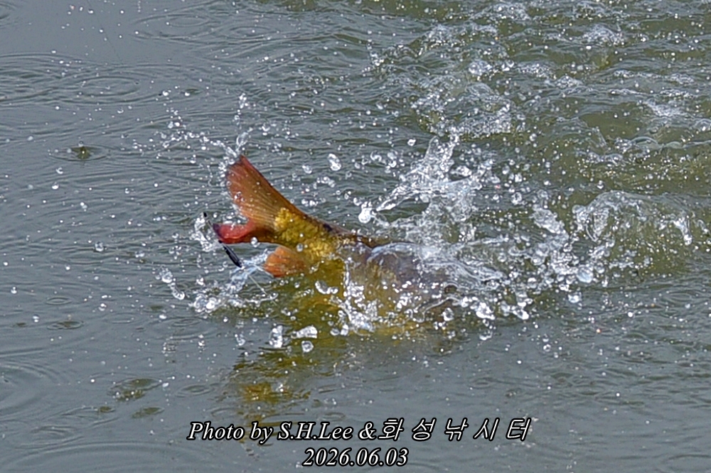 LEE_4955.JPG
