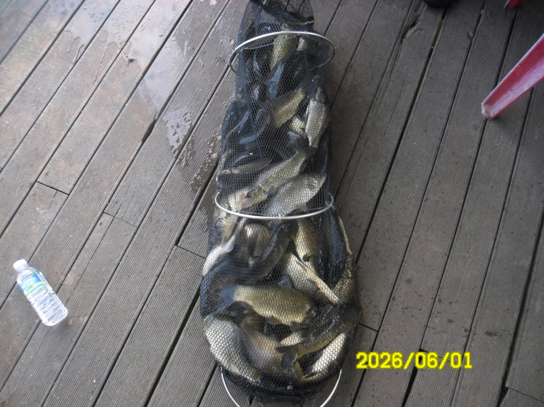 SAM_0155.JPG