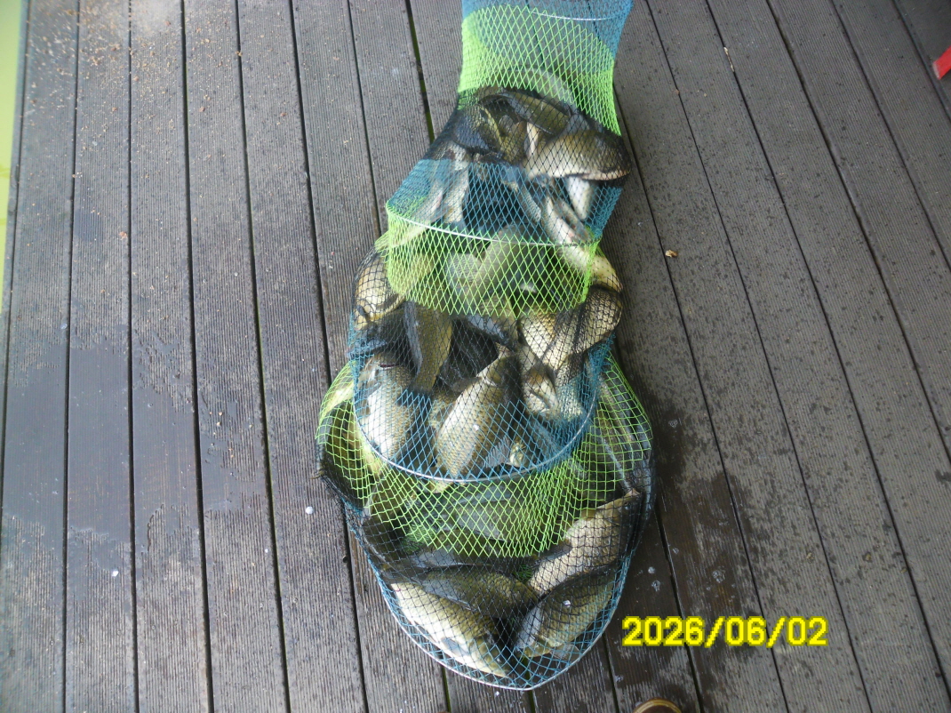 SAM_0165.JPG