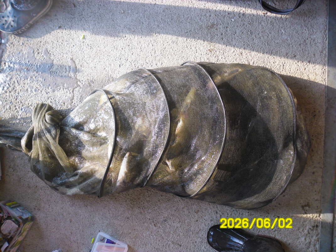 SAM_0170.JPG