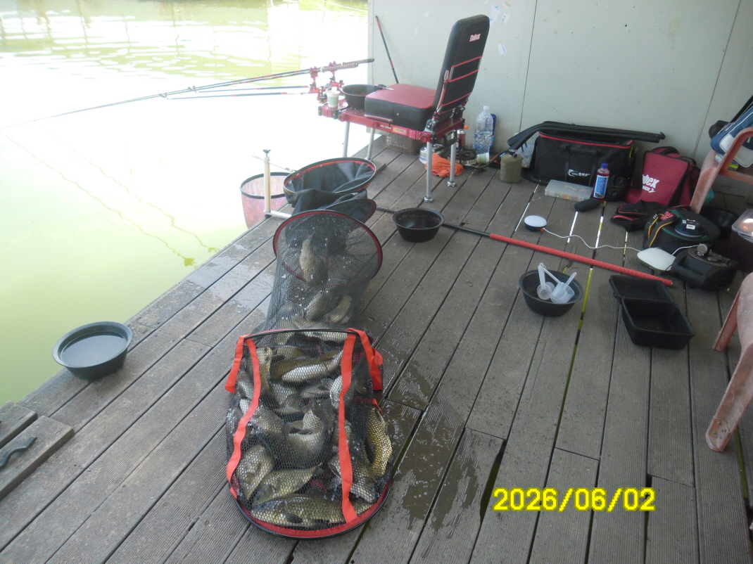 SAM_0175.JPG
