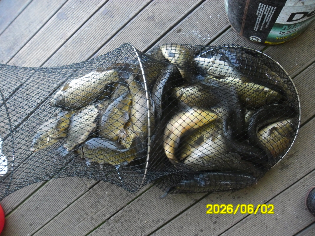 SAM_0181.JPG