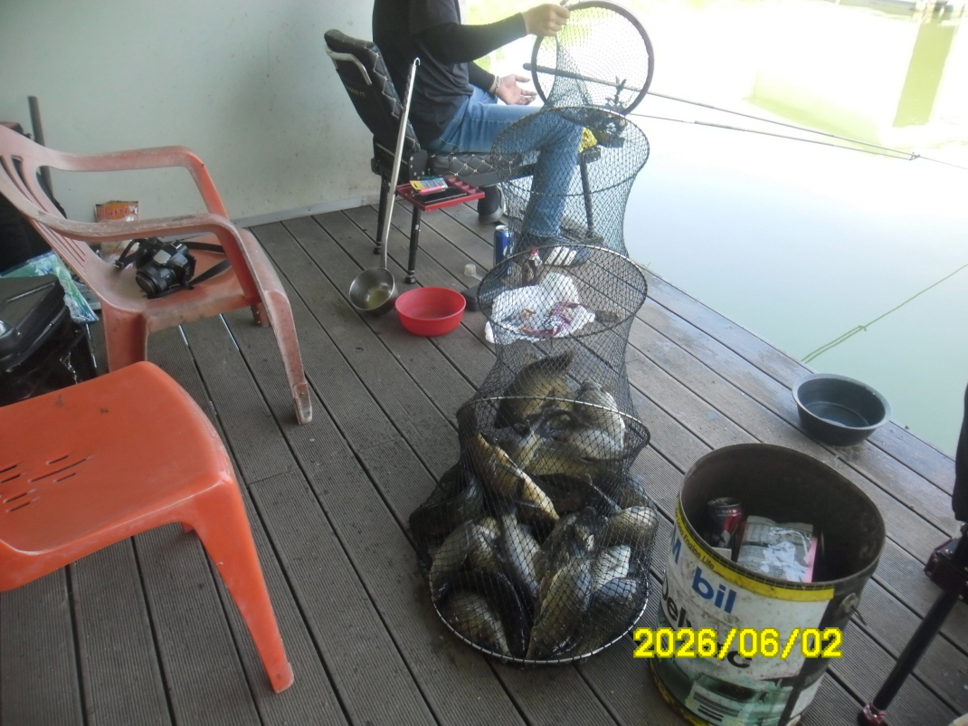 SAM_0180.JPG
