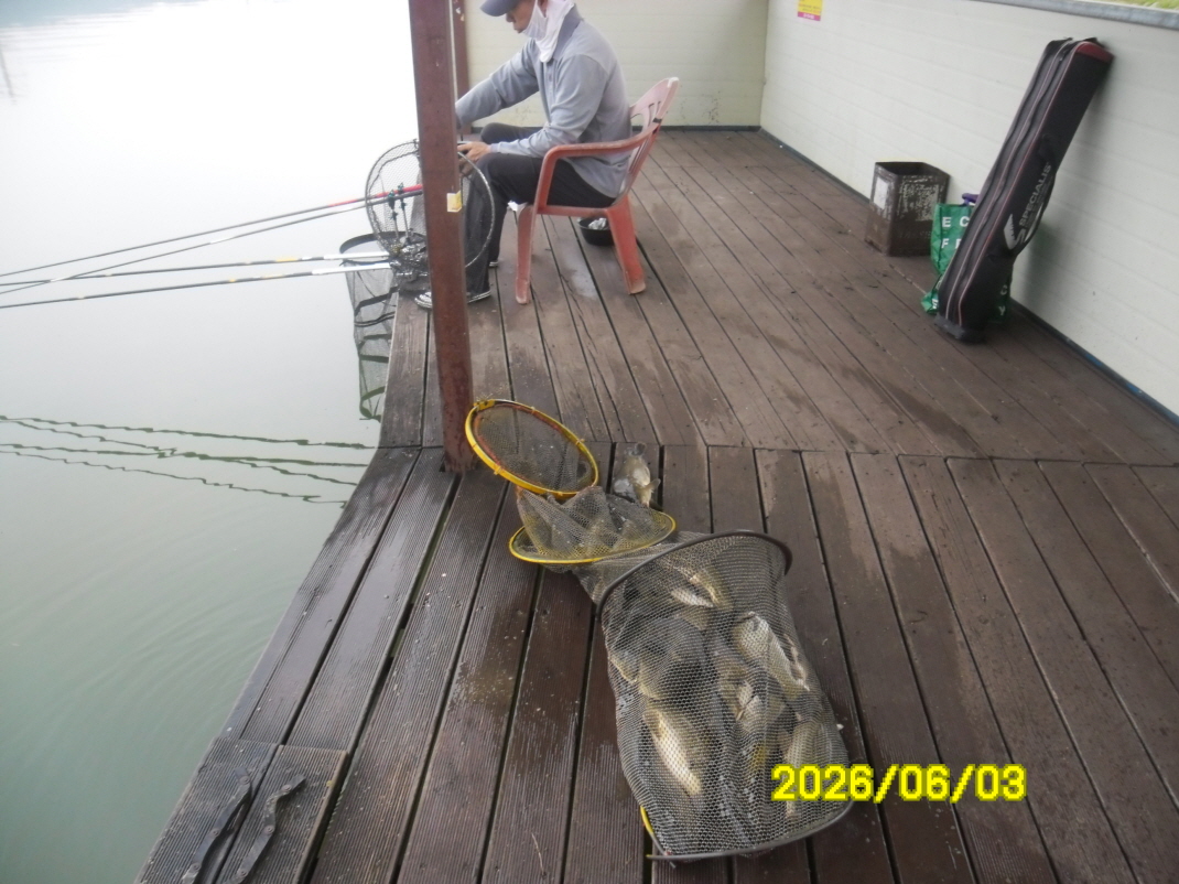 SAM_0219.JPG