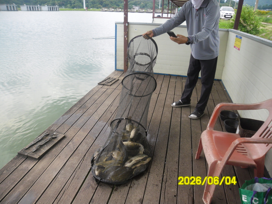 SAM_0226.JPG