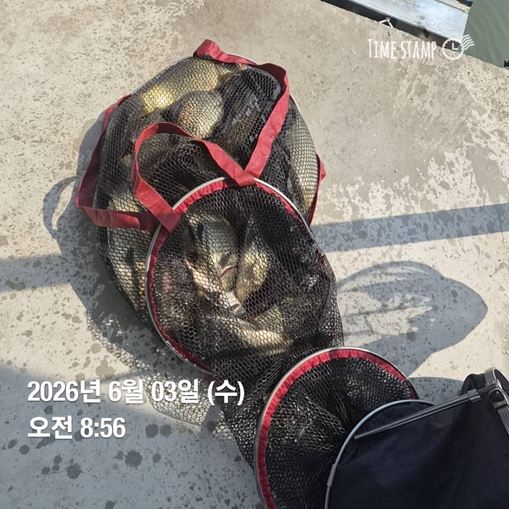 1780620800406.jpg