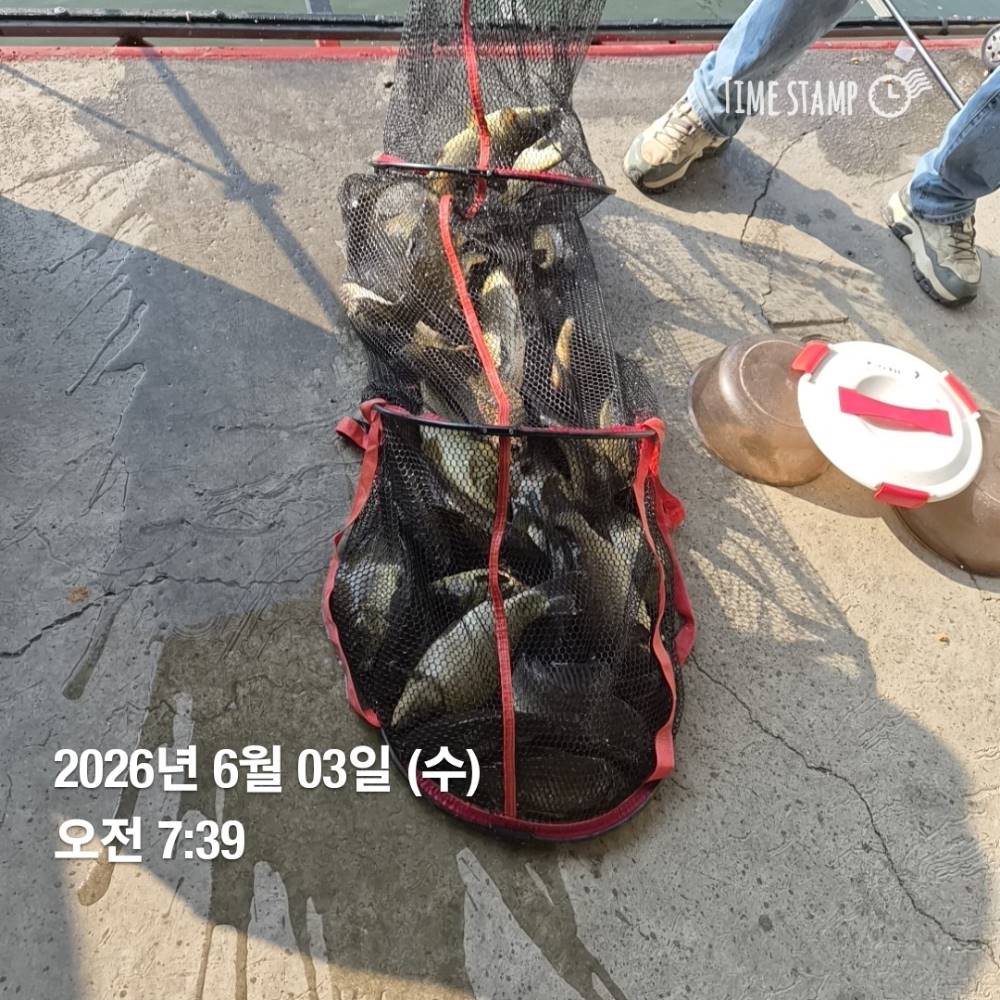 1780620800534.jpg