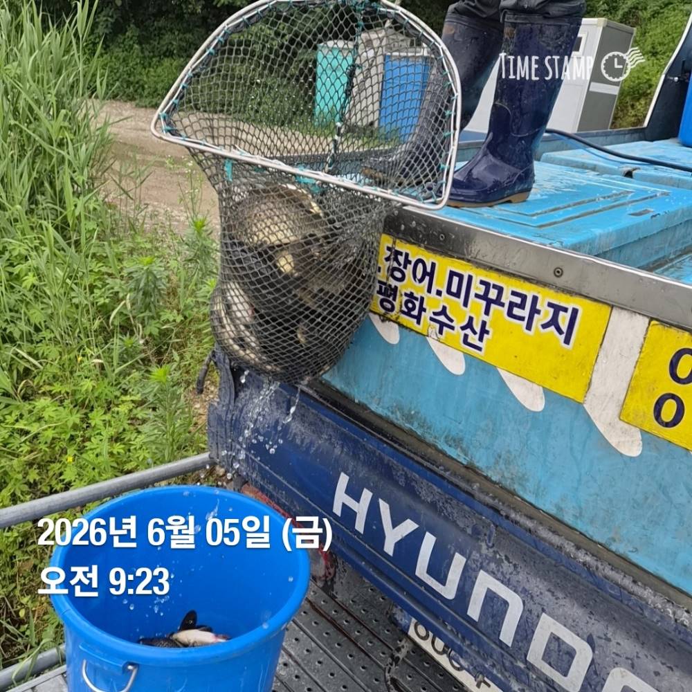 1780620799206.jpg