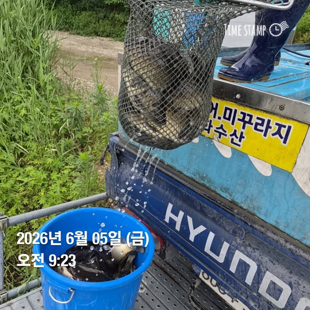 1780620799058.jpg