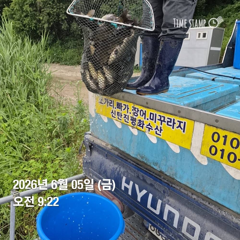 1780620799591.jpg