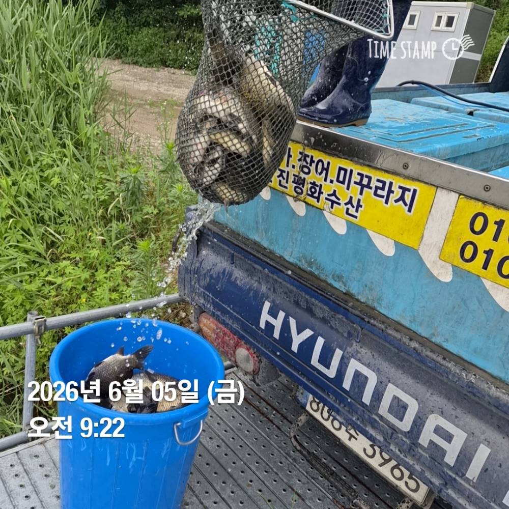 1780620799474.jpg