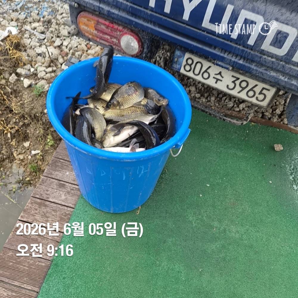 1780620799702.jpg